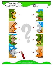 Resmi Diğer Yarısı ile Eşleştir Çalışma Sayfaları